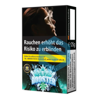 Holster 25g - Booster