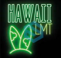 SHISHADI Tobacco 25g - Hawaii LMT