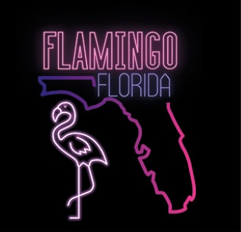 SHISHADI Tobacco 200g - Flamingo Florida