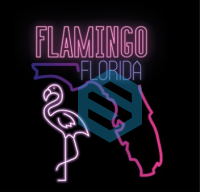 SHISHADI Tobacco 200g - Flamingo Florida