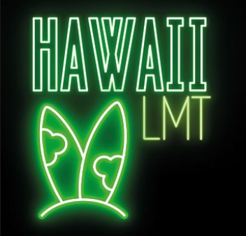 SHISHADI Tobacco 65g - Hawaii LMT