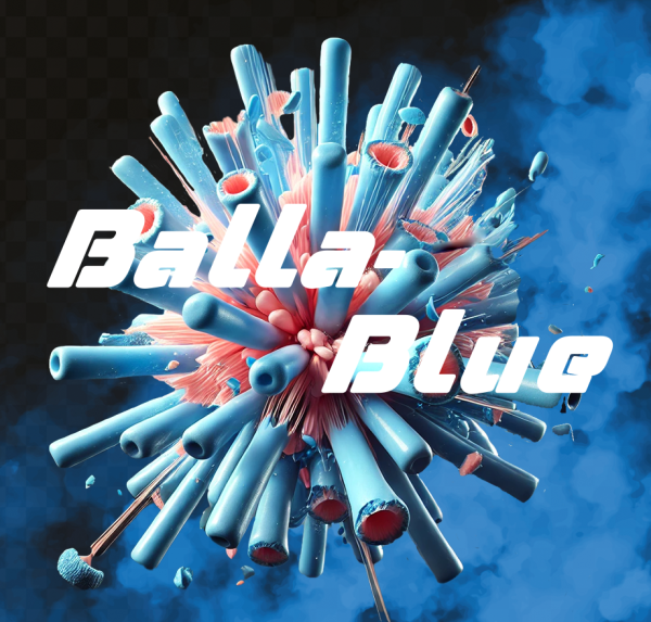 SHISHADI Tobacco 65g - Balla Blue